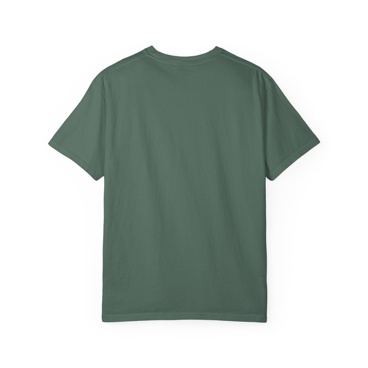 ExMo Worthy of a Refund T-Shirt | Comfort Colors 1717 | CAA