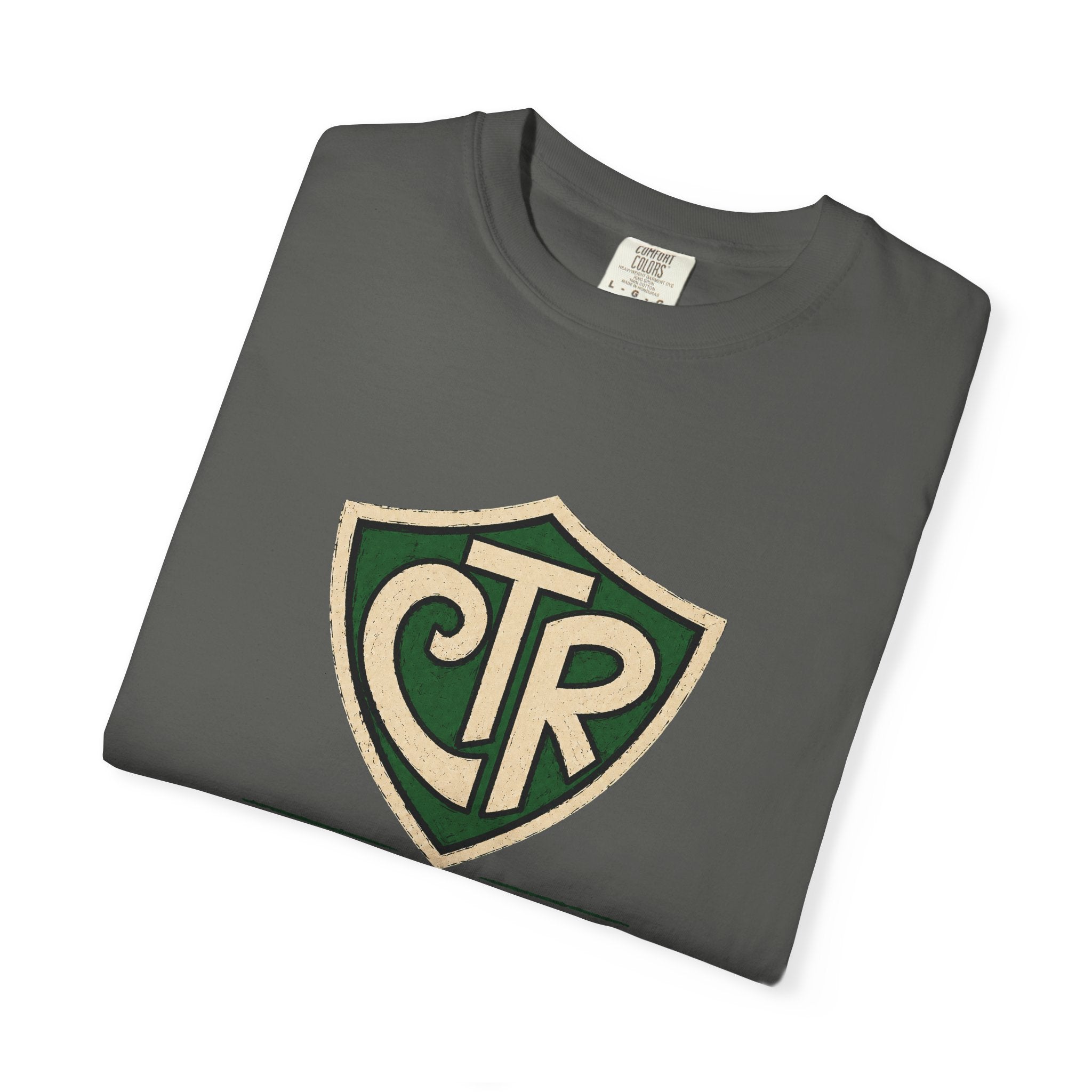 Choose to Revise T-Shirt | Comfort Colors 1717 | CAA