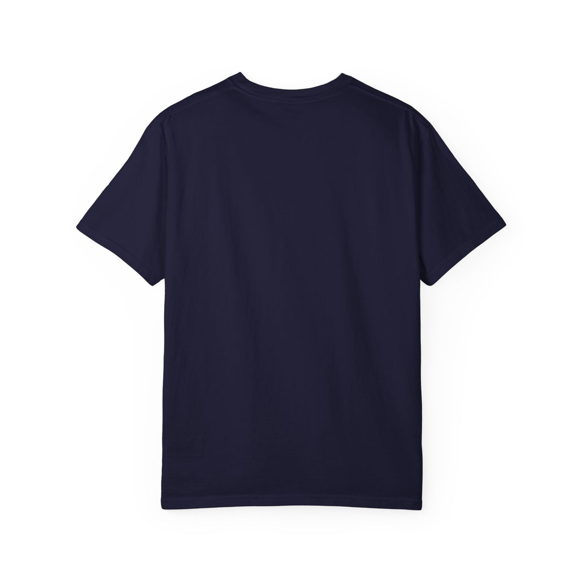 Choose to Revise T-Shirt | Comfort Colors 1717 | CAA