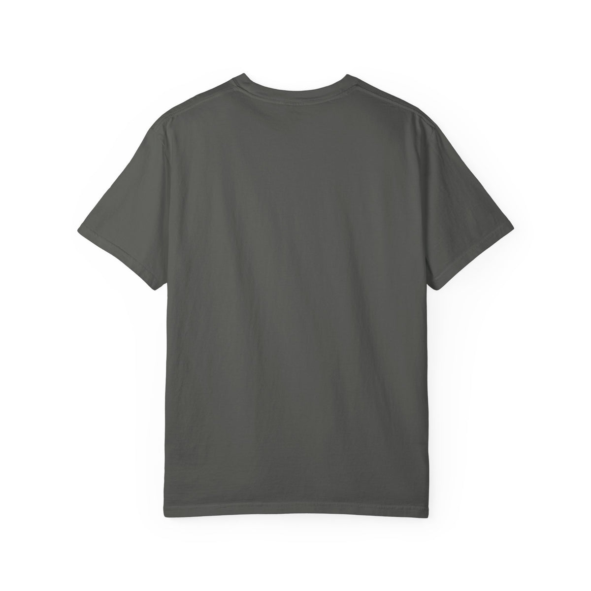 Choose to Revise T-Shirt | Comfort Colors 1717 | CAA