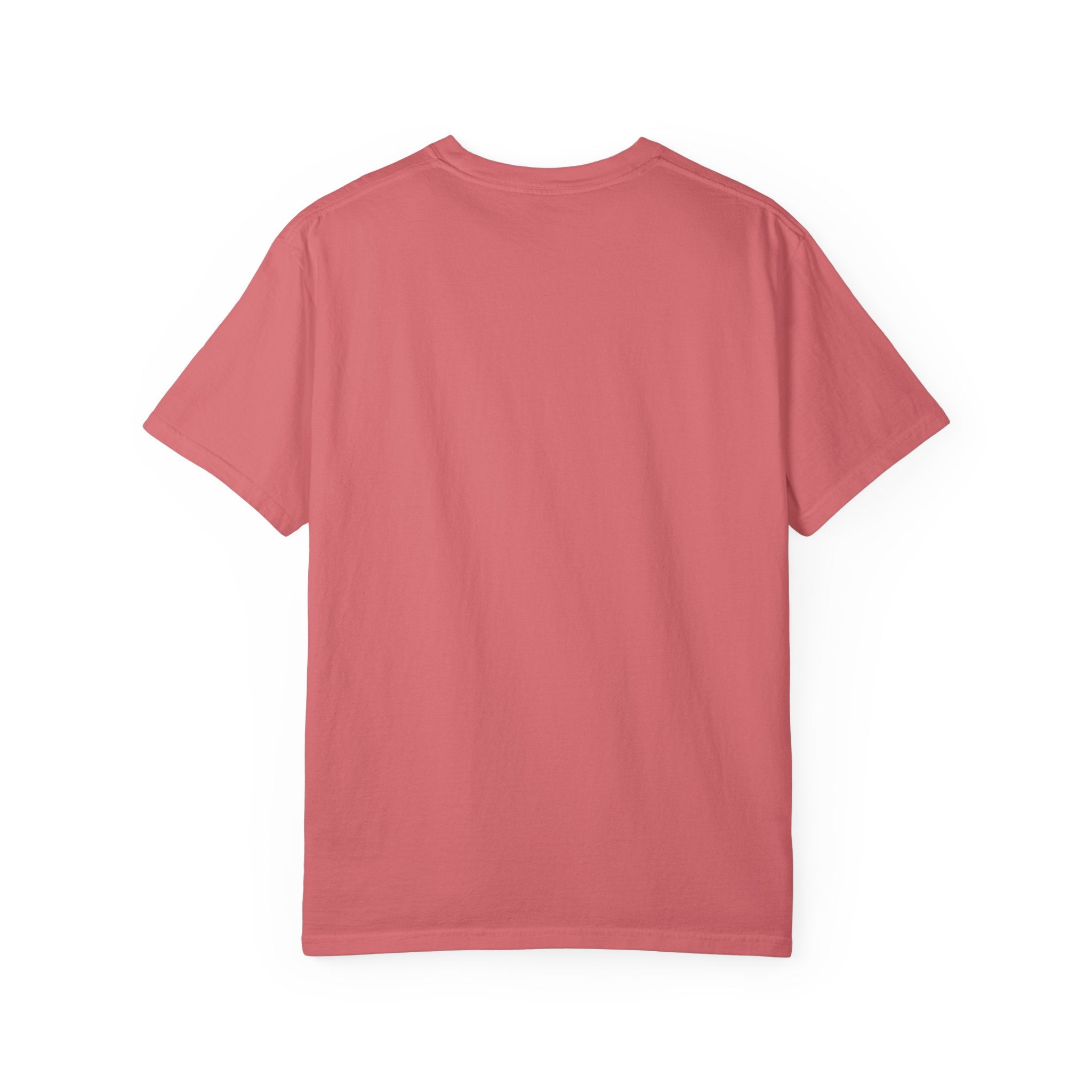 Apostate Pennant T-Shirt | Comfort Colors 1717 | CAA