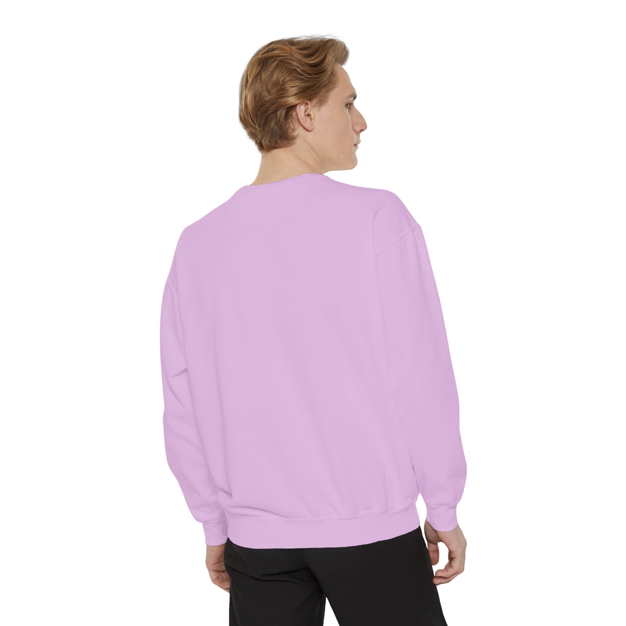 Apostate Pennant Premium Heavyweight Sweatshirt | Comfort Colors 1566 | CAA