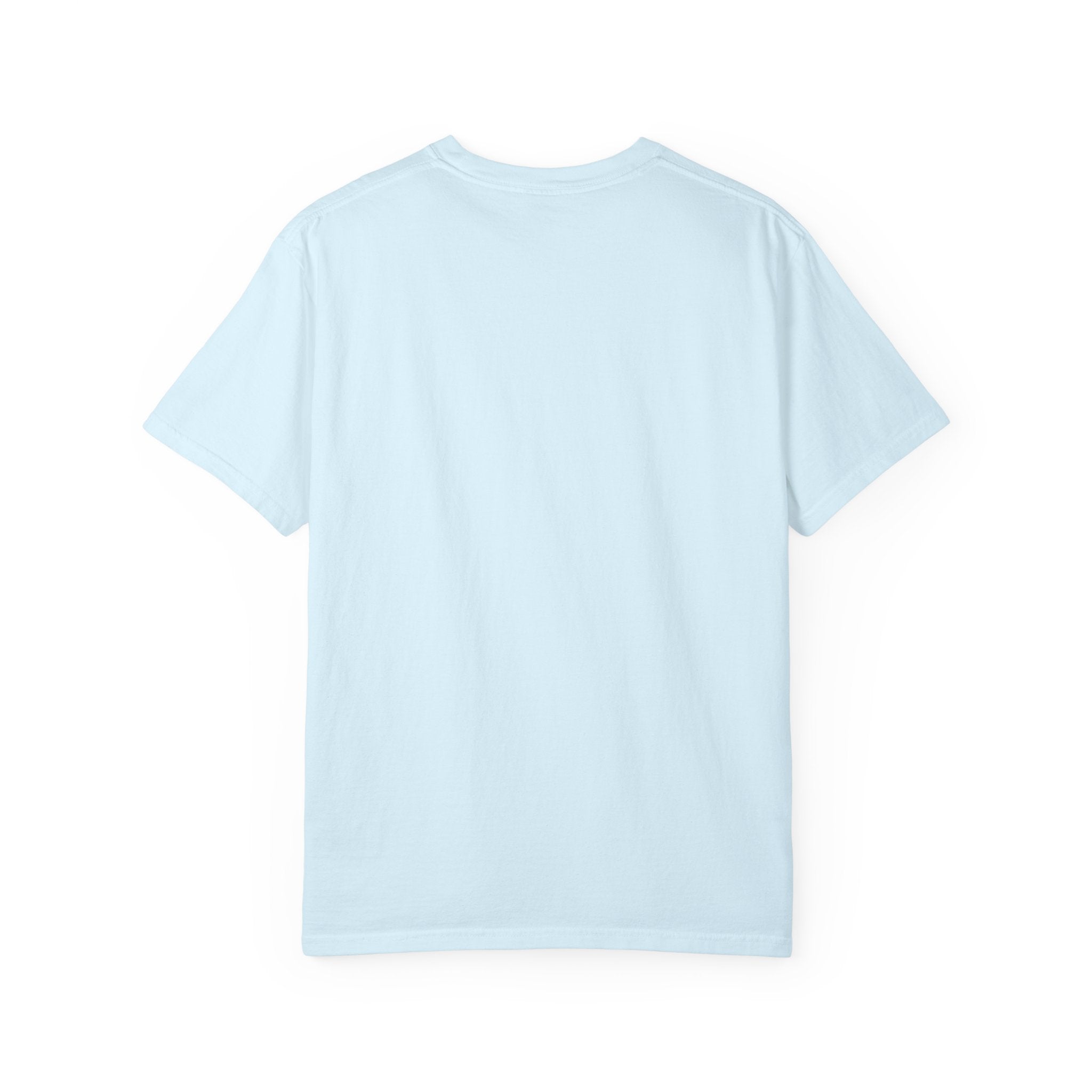 Apostate Pennant T-Shirt | Comfort Colors 1717 | CAA