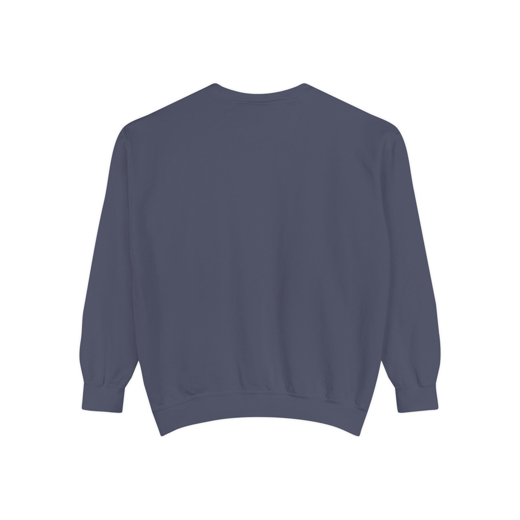 Choose to Revise Sweatshirt | Comfort Colors 1566 | CAA