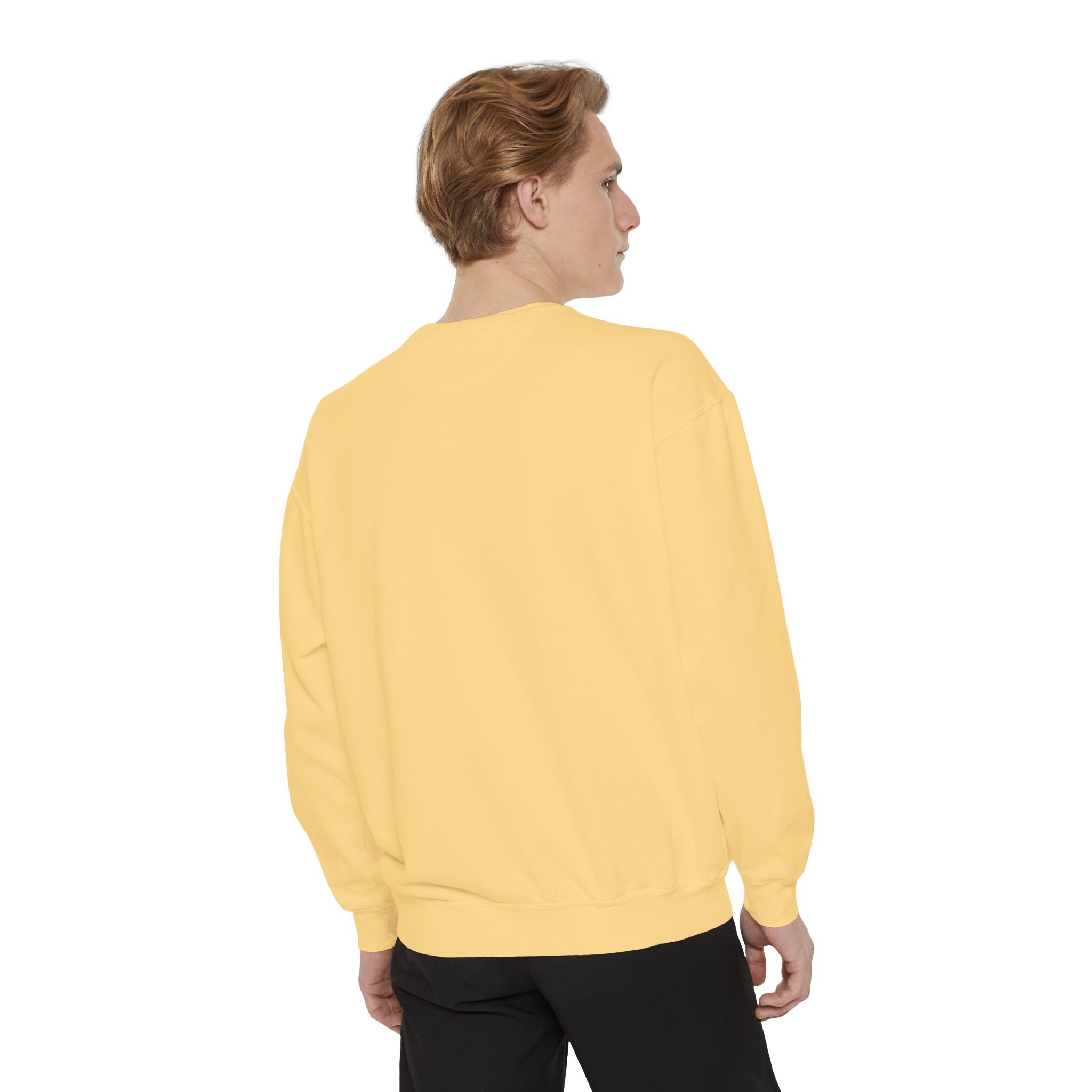 Apostate Pennant Premium Heavyweight Sweatshirt | Comfort Colors 1566 | CAA